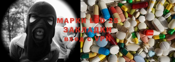 индика Тында