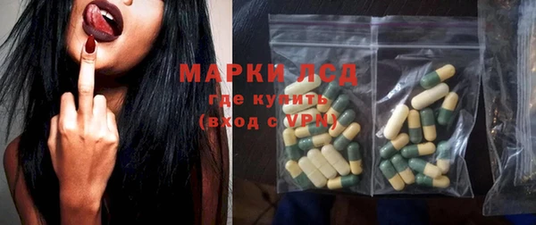 индика Тында