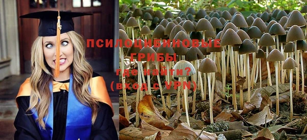 мдма Туринск