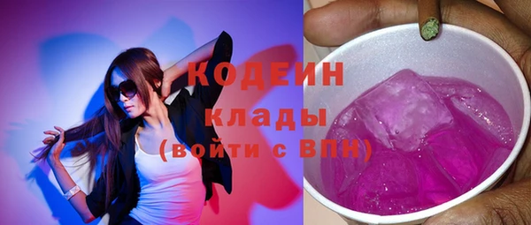 индика Тында