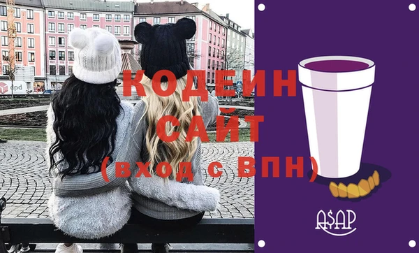 индика Тында