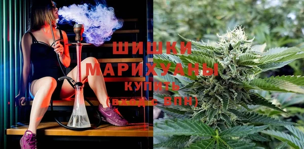 индика Тында