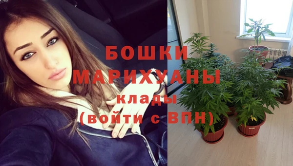 прущие крисы Вязники